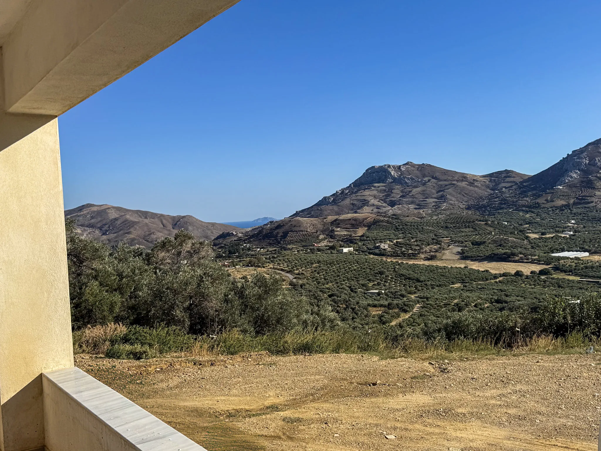 The valley of olive groves under the mountains, seen from the houses