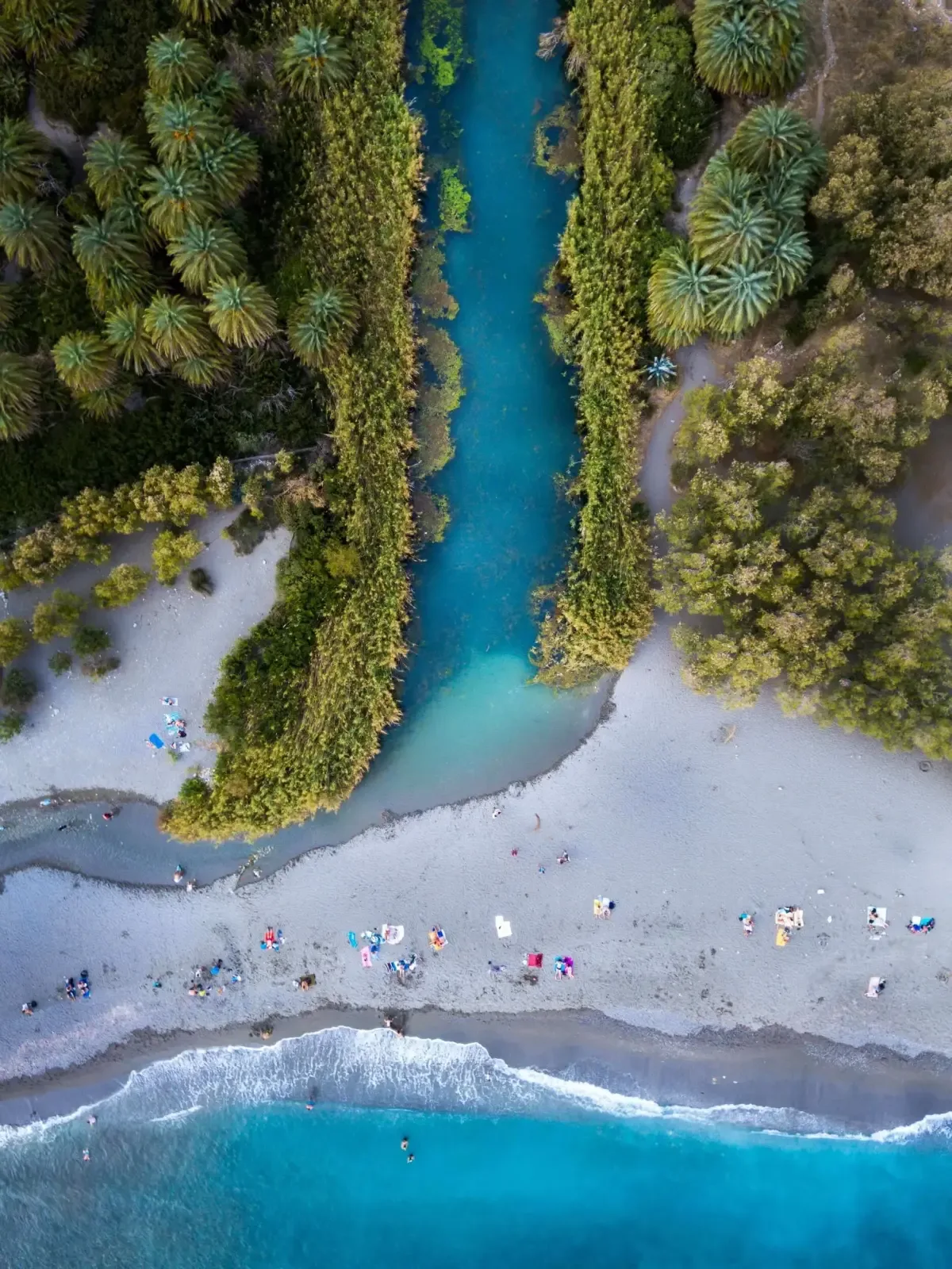The river at Preveli running through the palms into the sea, from above